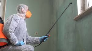 Why You Should Choose Our Mold Remediation Services in Buffalo, TX